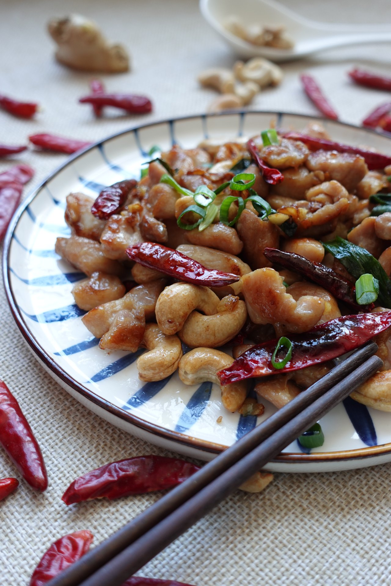 Spicy Chicken with Cashew Nuts (Chinese Kung Pao Chicken 宮保雞丁) - Tasvel.