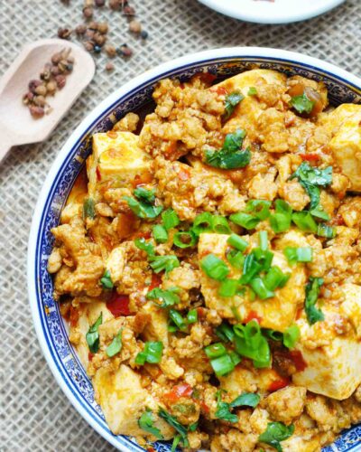 Chinese Si Chuan Ma Po Tofu with spring onion sprinkle on top, Si Chuan pepper and spicy powder as side decoration